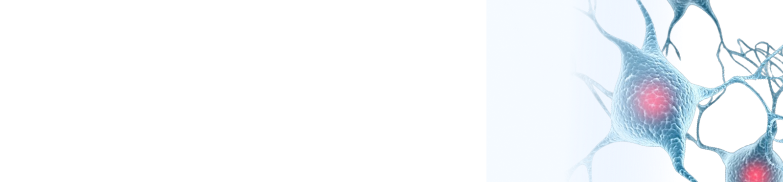 Illustrated videos plus linked assessment items that support teaching