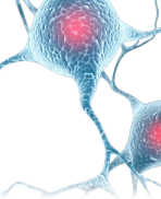 Illustrated videos plus linked assessment items that support teaching