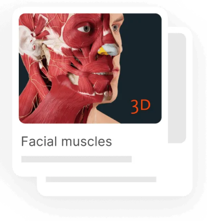 Understand and visualize anatomy from every angle